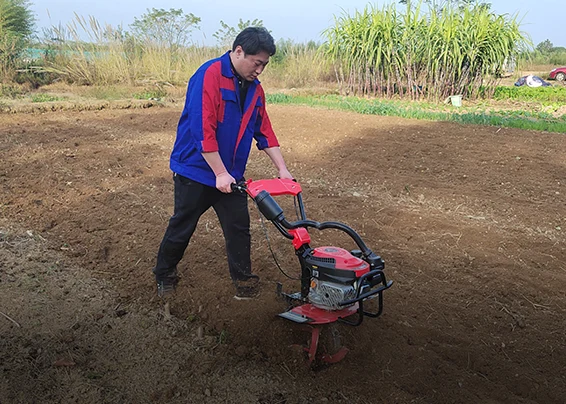 Agricultural planting ploughing